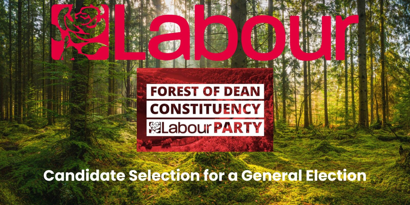 Labour logo for Forest of Dean